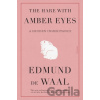 The Hare with Amber Eyes - Edmund de Waal