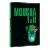 Moucha