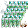 NEPERLIVÁ PRÍRODNÁ KOKOSOVÁ VODA COCONAUT 320 ML Z MLADÉHO KOKOSU