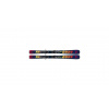 FISCHER THE CURV JR (70-120) JRS + FS 4 CA JRS 24/25 110