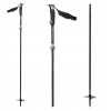 Black Diamond BD Compactor Poles