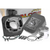 Cylinder Kit Malossi Sport 70cc, stojaci Peugeot AC