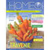 HOMEO magazín 3/2020 - homeopatia pre všetkých (Téma vydania: Trávenie; Alergie a miazmy - Hlbinná homeopatia; Akútna homaopatie: chrípka, žlčníkové koliky; Rozhovor s homeopatkou: Soňa Koyšová ( 84 s