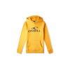 O'Neill Logo Hoodie Jr 92800615006 (196324) Blue 164
