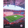 Flísová deka Allianz Arena FC Bayern München, 130 x 170 cm
