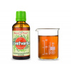 Krvetvorba - bylinné kapky (tinktura) 50 ml- doplněk stravy
