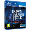 Down the Rabbit Hole Sony PlayStation 4 (PS4)