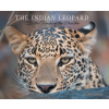 Indian Leopard