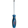 BOSCH Skrutkovač TX40x125 1600A01V0F
