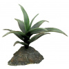 Lucky Reptile Agave malé 10 cm