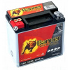Banner AGM PRO 514 01