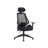 Nábytek PEGAS s.r.o. Kancelářské křeslo Q-406M, Černá