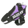 Julius-K9 IDC Powerpostroj s nápisom, veľkosť 0 Fialový