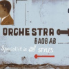 Orchestra Baobab - Specialist In All Styles / Vinyl / 2LP [2 LP]