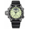 Citizen pánske hodinky JP2007-17W