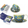 Porcelánová šálka 250 ml s podšálkou, Motív: Irisy od Vincenta Van Gogha Carmani