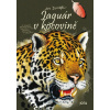 Jaguár v kocovině - kniha Jana Dungela