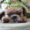 Audiokniha: Pohádky z Piešťan a Vrzavky