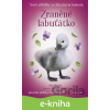 E-kniha Nové příběhy se šťastným koncem – Zraněné labuťátko - Jana Olivová, Zuzana Slánská (ilustrátor)