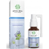 Green idea s.r.o. GREEN IDEA SALVIAGREEN UST.SPR.25ML