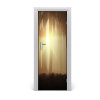 Fototapeta na dvere hmla v lese 75x205