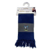 AAA Merchandise Harry Potter Šála Havraspár Bold Stripes (Hanger) 160 cm