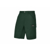 Parkside® Pánske pracovné šortky (zelená, 52) (100390244)