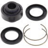ALLBA BEARING KIT BOTTOM SHOCK ABSORBER