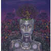 NEW AMERYKAH PRT.2