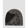 Čiapka Dynafit Leopard Logo Beanie