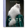 Walter Chandoha. Cats. Photographs 1942-2018