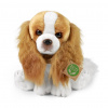Rappa Plyšový pes Kavalier King Charles Španiel 28 cm ECO-FRIENDLY