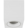 Rabalux Kobald stropné svietidlo 1x25 W biela 71165