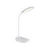 GLOBO 58455W BOTAL