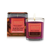 Areon Apple & Cinnamon 120 g