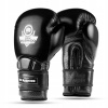 Boxerské rukavice DBX BUSHIDO Warrior-Box-Black 10 oz