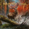 Heaven Shall Burn Heimat 2XcdBluRay
