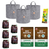 BioNova Living Soil Set Large na pestovanie 3 rastlín