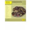 Hroznýš královský - Hes Ondřej