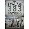 Stalag 383 Bavaria: A History of the Camp, the Escapes and the Liberation (Wynn Stephen)