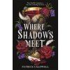 Where Shadows Meet - Patrice Caldwell, Hot Key Books