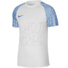 Tričko Nike Dri-FIT Academy Jsy SS M DH8031 102
