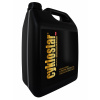 CYKLOSTAR 5L PERFORMANCE SERVIS