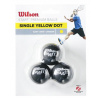 Wilson STAFF SQUASH 3 BALL