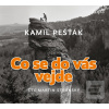 Co se do vás vejde (Kamil Pešťák)