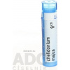 Chelidonium Majus gra.1 x 4 g 9CH