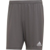 Adidas Kraťasy adidas ENTRADA 22 Short H57505 H57505 šedá L