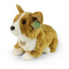 Rappa Plyšový pes corgi 32 cm
