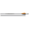 EASTON PLATINUM XX75 l