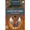 Strážkyně draků Město tajemství - Liz Flanagan
